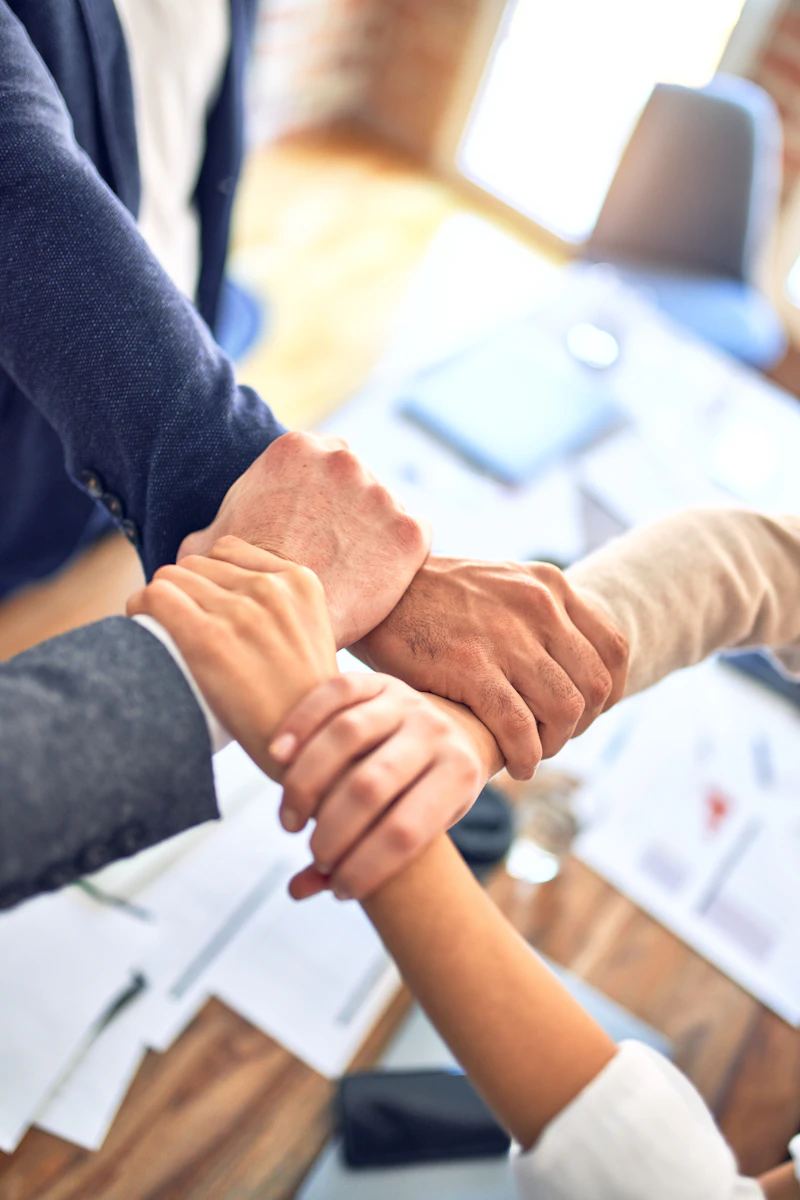 Professional team collaboration